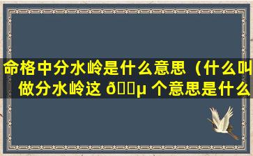 命格中分水岭是什么意思（什么叫做分水岭这 🌵 个意思是什么 🌴 意思）